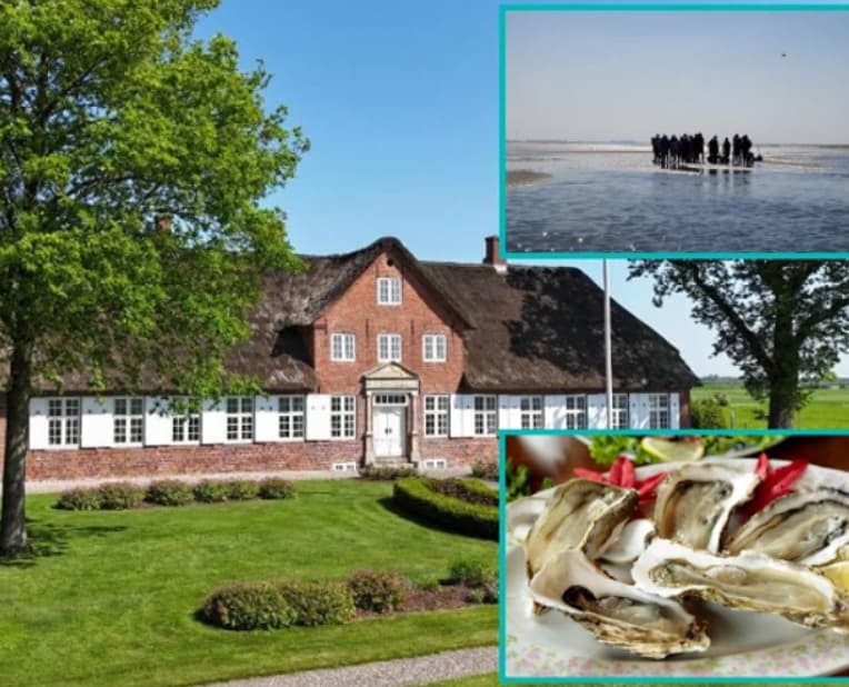 Østers-safari og ophold på Bjerremark Hotel i Tønder
