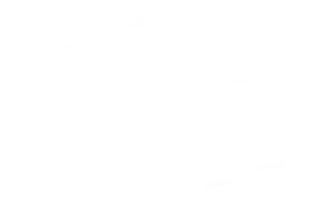 Pulpo