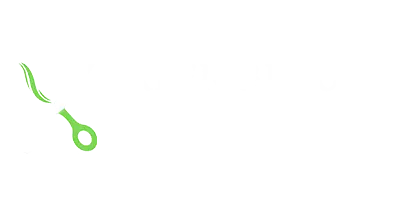 green beauty salon