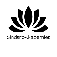 SindsroAkademiet