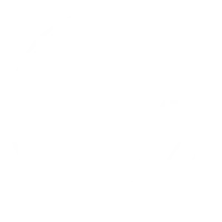 The Vietnamese Table