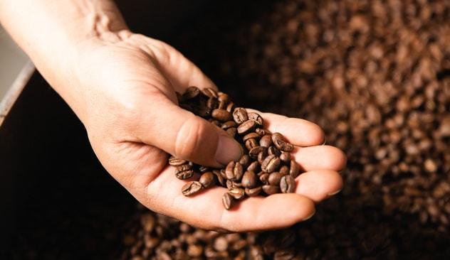 Bestseller: Afhent 1 kg kaffebønner 