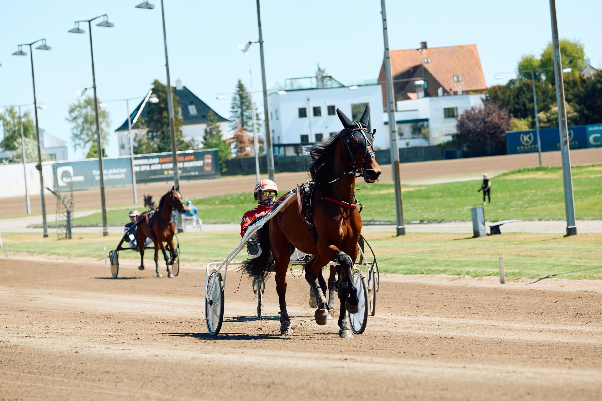 Fredagstrav på Charlottenlund Travbane
