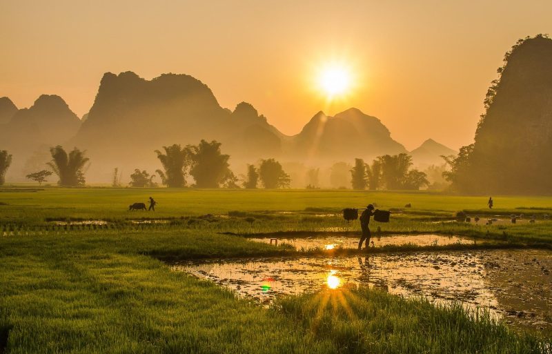 Deal på Vietnam: 16 dages rundrejse med mad - og fly