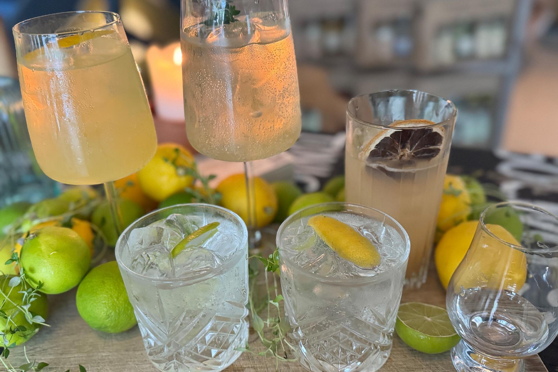 Ginsmagning & tapas