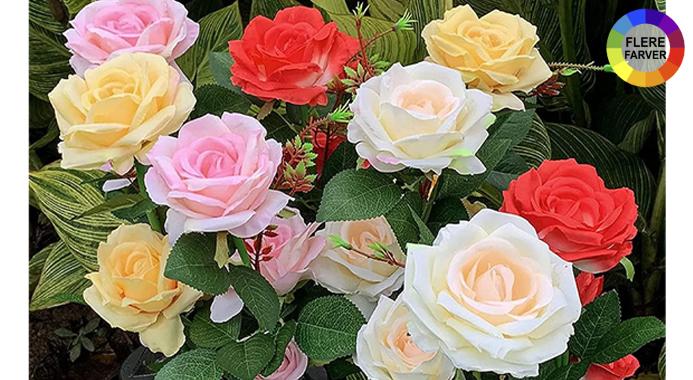 Rosehavelamper med solceller