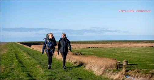 Vandreferie i Tøndermarsken med hygge og naturoplevelser