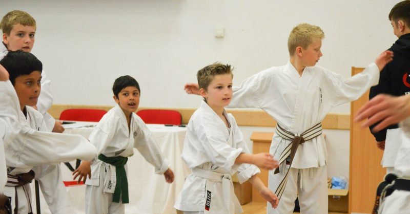 Karate Lessons for Kids or Adults at Traditional Karate And Fitness