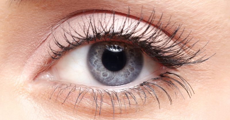 Lash Lift or Eyebrow Wax at My choice aesthetics