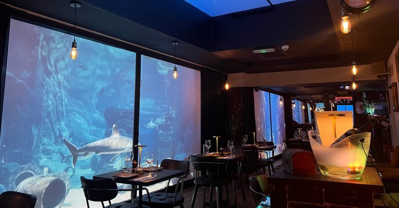 Enjoy an Immersive Meal at Mr. Steak in Hammersmith