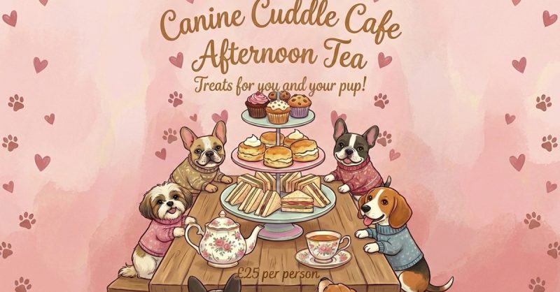 Afternoon Tea for Two or Four at Canine Cuddle Cafe