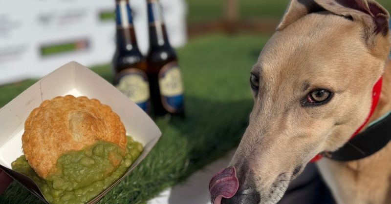 Entry, Food & Drinks for Up to Four at Sunderland Greyhound Stadium