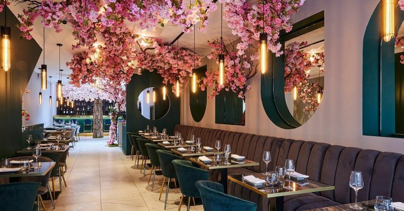 4-Course Japanese Meal for Two to Four at Doumo Japanese Restaurant