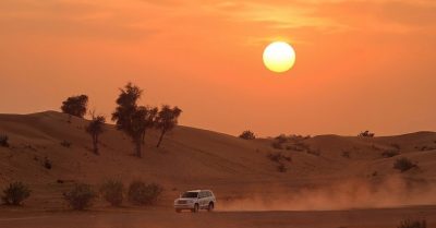 Evening Desert Safari with VIP Seating and Buffet Dinner by AlMahra Tours