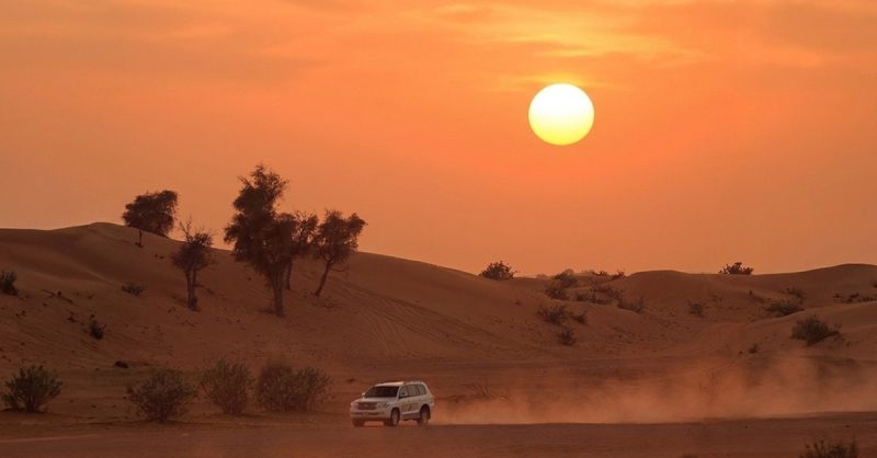 Evening Desert Safari with VIP Seating and Buffet Dinner by AlMahra Tours