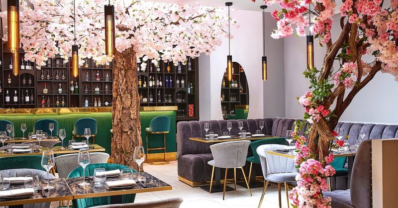 Bottomless Japanese Brunch with Sake at Doumo Japanese Restaurant