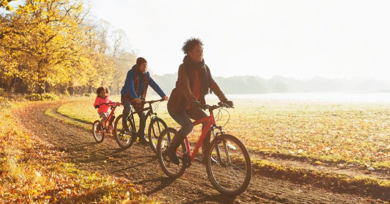 Half Day Bike Rental for All Ages at Koda Bikes