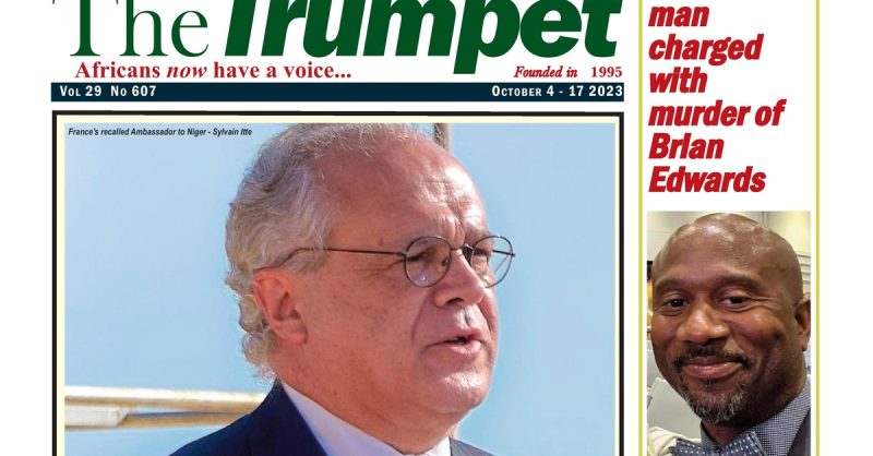 Expert Advertising Consultation at Trumpet Media Group
