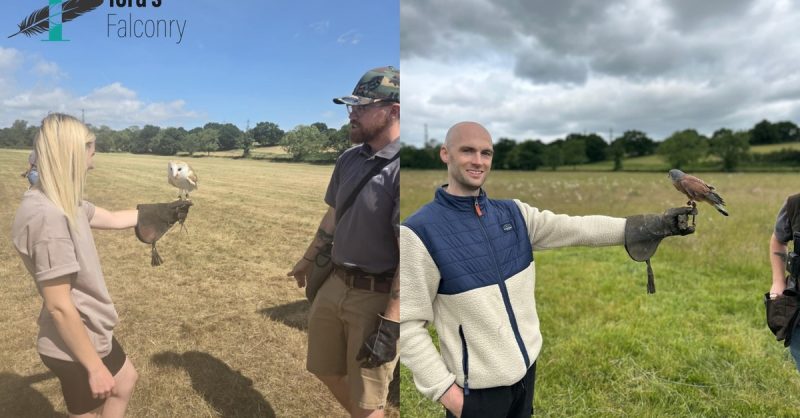 2-Hour Birds of Prey Experience at Toras Falconry