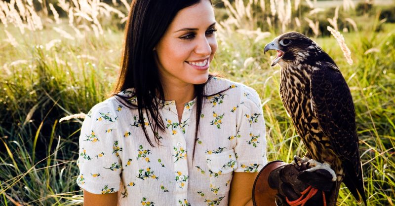 60-Minute Hawk Walk for One, Two, or Family at Hawksflight Falconry
