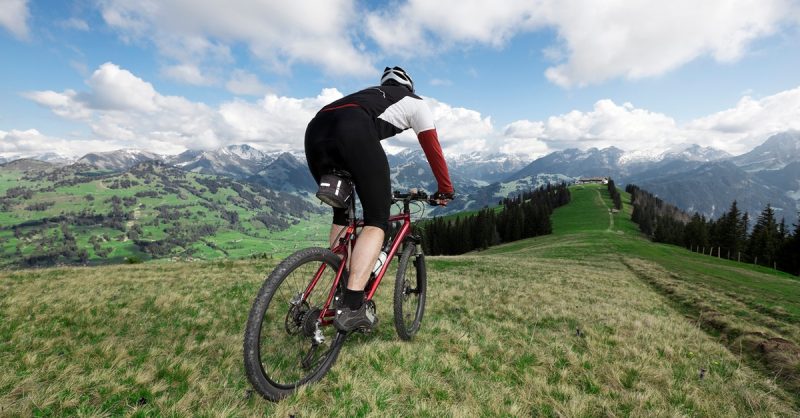Comprehensive Bike and eBike Servicing at cannonballtoursbrighton in Brighton