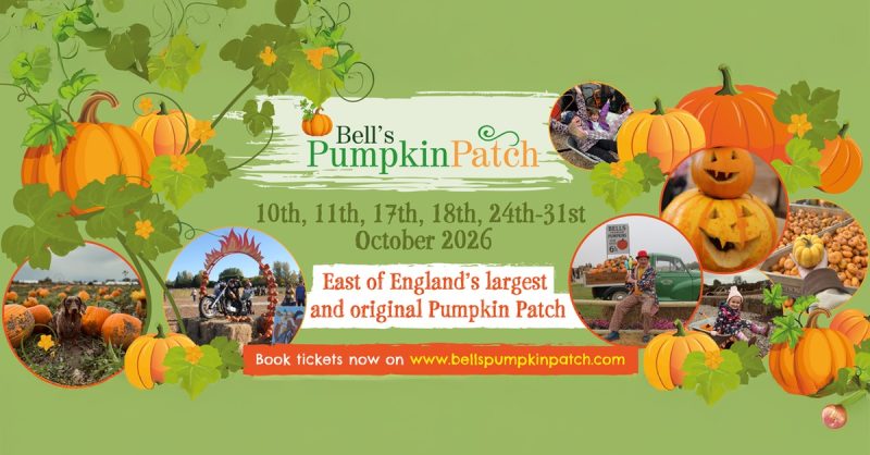 Pumpkin Picking Fun at Bells Pumpkin Patch in East of England
