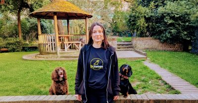 Dog Training Courses at The Wagologist for Your Beloved Pet