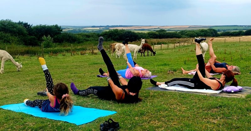 Ladies-Only Alpaca Pilates Classes at Alpaca walkies in Devon