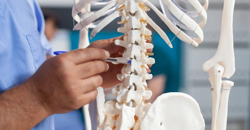 Chiropractic Consultation and Treatment Plans at Wapping Chiropractic
