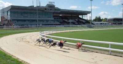 Live Greyhound Racing Night with Meal & Drinks at Dunstall Park Greyhound Stadium
