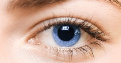 Lash Lift & Tint or Brow Lamination at Ds Beauty Room