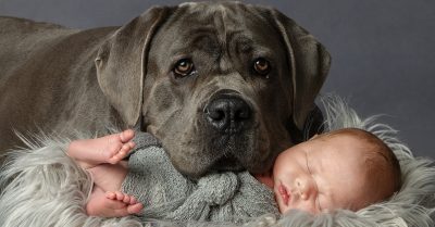 Newborn Photoshoot with Eight Prints at Photography New Forest