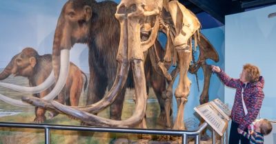 Discover Shropshire Hills at Shropshire Hills Discovery Centre