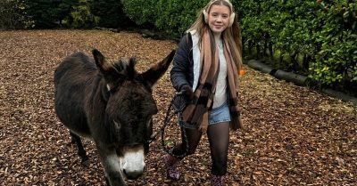60-Minute Guided Donkey Trek & Feeding at Wetley Moor Alpacas