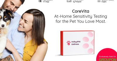 Pet Sensitivity and Nutrient Testing at Holisys Wellness