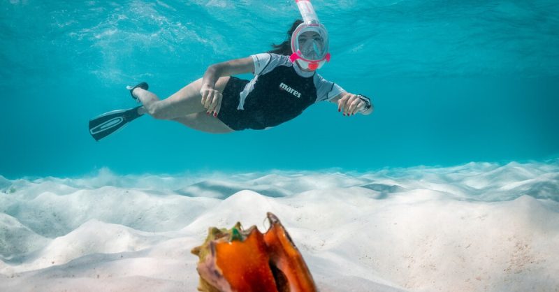 Snorkelling Adventure with Clubsub Diving Club - Explore Underwater Life