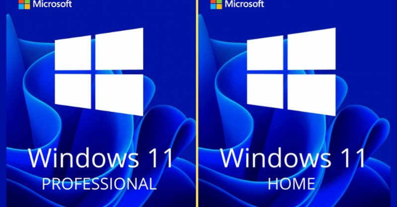 Microsoft Windows 11 Lifetime License at Mediaman