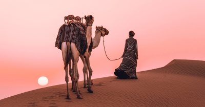 VIP Desert Safari with Doorstep Transfer at AlMahra Tours