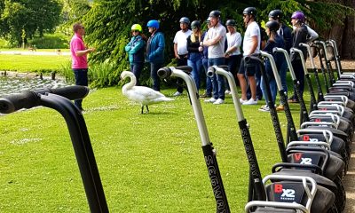 Leeds Castle Segway Adventure or Twilight Tour with Southern Segway