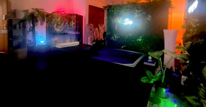 Recovery Package at Zeers Therapy - Experience Infrared Sauna & Ice Bath