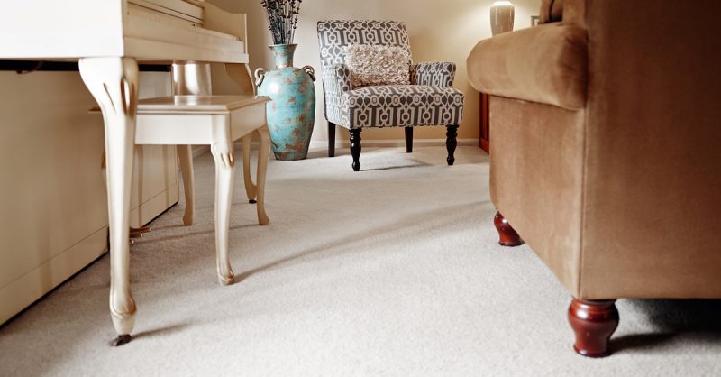 Expert Carpet Cleaning at Clean Choice Cleaning