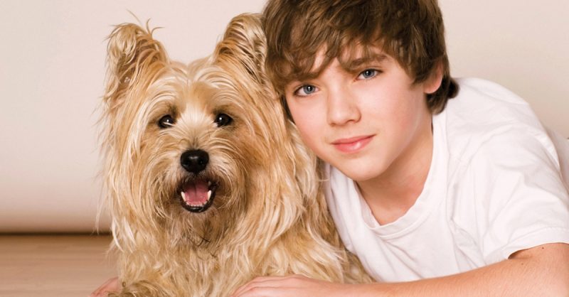Capture Your Pet's Personality at Barrett & Coe Leighton Buzzard