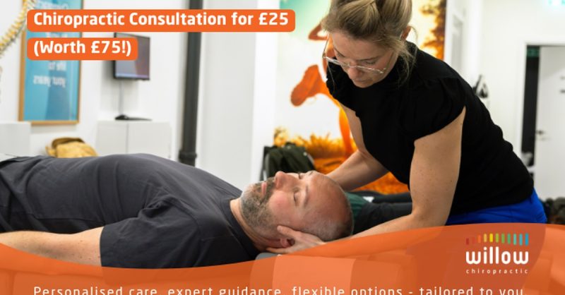 Comprehensive Chiropractic Consultation at Willow Chiro