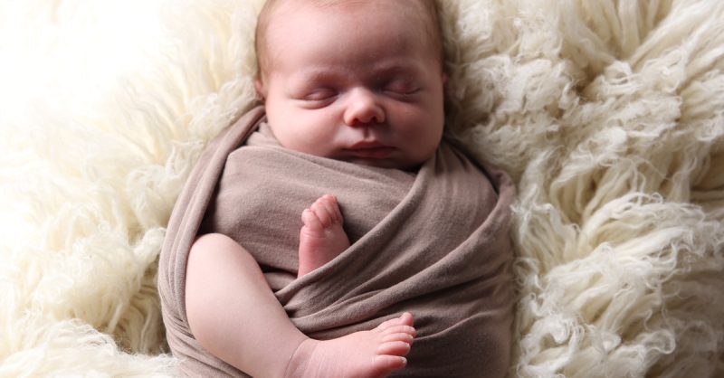 Capture Precious Moments with a Photoshoot at Little Elephants Photography