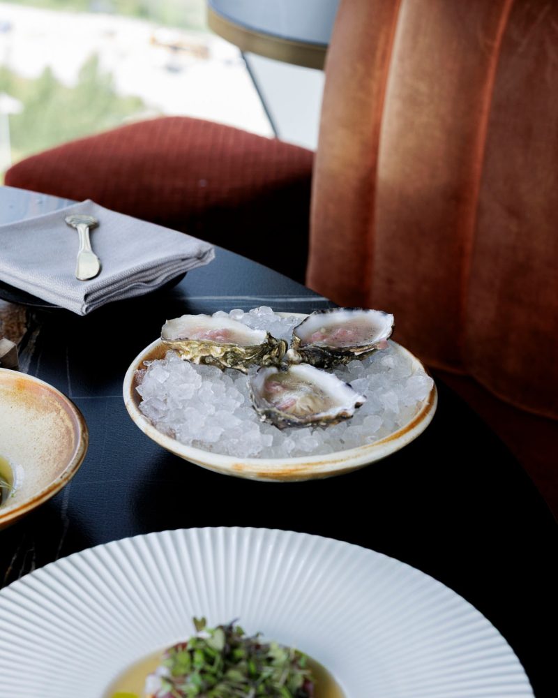 6-retters aftenmenu på Sukiba - Danmarks Bedste Hotelrestaurant (3)
