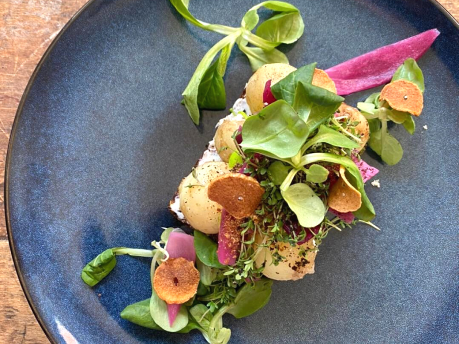 Spar 20% i aften: Gæsten og årstidens råvarer er i fokus hos Restaurant Surt & Sødt i Nakskov, der forkæler med en smagsoplevelse af høj kvalitet. Book hér og få rabat på hele regningen!