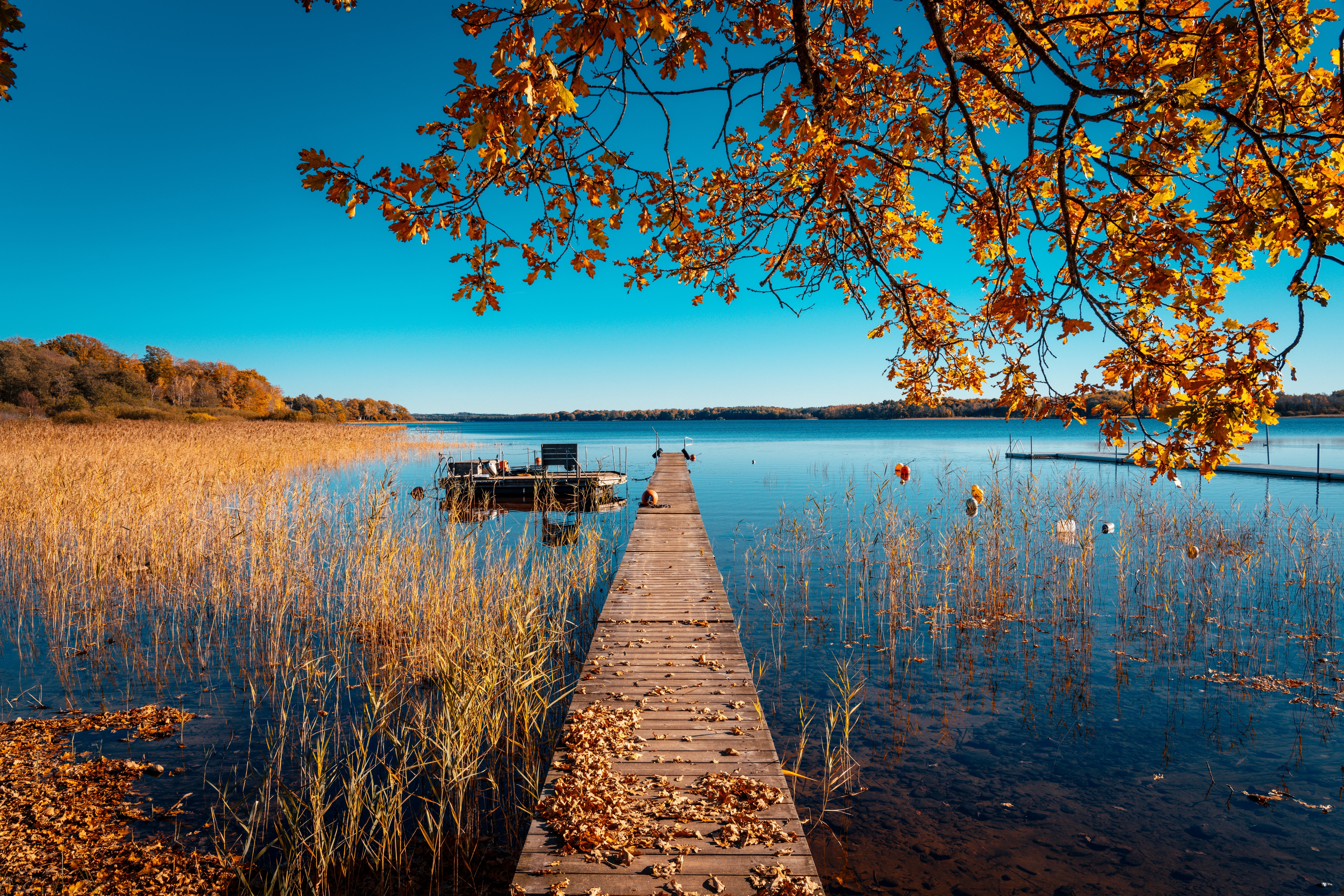 SÆRPRIS: 4-Stjernet Design-Hotel i Sverige