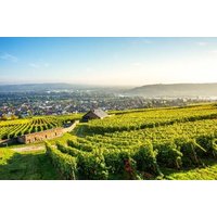Weinhotel des Riesling Zum Grünen Kranz