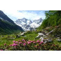 First Mountain Hotel Ötztal