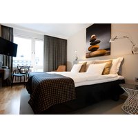 Hotel Birger Jarl